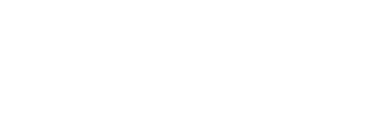 white-logo-small MVP Real Estate primary logo